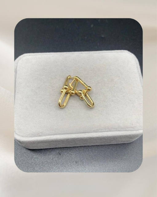 18K Yellow Gold Earrings